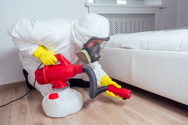 Best Emergency Pest Control  in Cedar Hill, MO