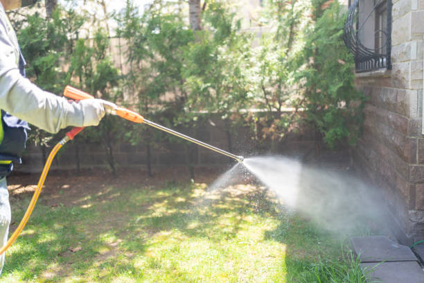 Best Affordable Pest Control Services  in Cedar Hill, MO